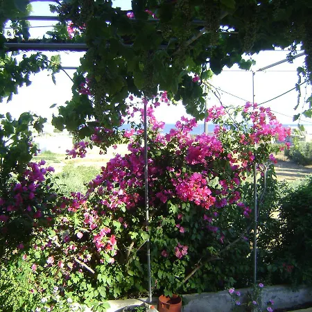 Panormitis Διαμέρισμα Κέφαλος